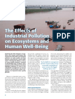 The Effects of Industrial Pollution On Ecosystems and Human Well-Being PDF