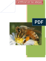 apicultura-exposicion.docx