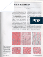 13-tejido-muscular1.pdf