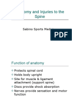 Anatomy and Injuries to the Spine