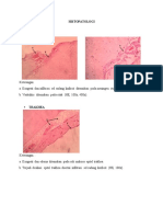 Histopatologi PDF