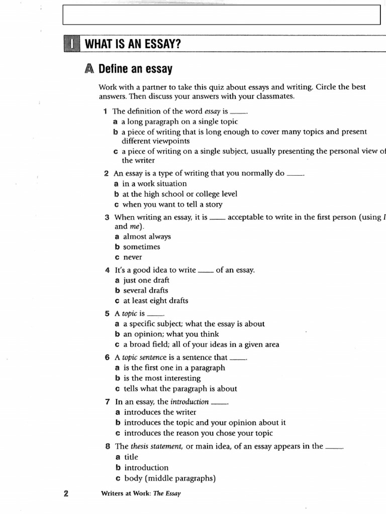 Understanding Essay Writing Basics | PDF | Essays | Debt