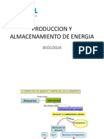 Produccion y Almacenamiento de Energia