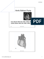 Iabp 3 2012 PDF