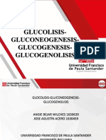 Exposicion Rutas Metabolicas FisiologiA