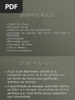 Sistema Visual 22008