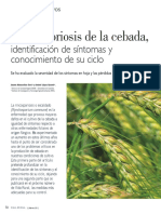 cultivos_rincosporiosisVR391.pdf