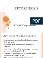 Leptospirosis.pptx