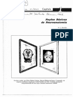 Noçoes Basicas de Neuroanatomia