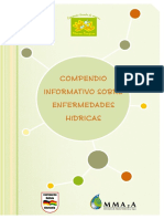 ENFERMEDADES HIDRICAS, REFERENCIA CON PERMISO.pdf