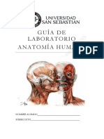 Guia AnatomIa DBIO1051