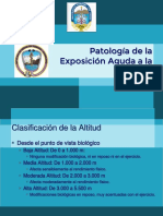 Patología de La Exposición Aguda A La Altura