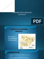 Expo Tumores Glandulas Salivales