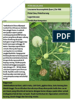 Petai Belalang PDF