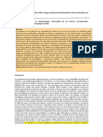 Efectos Del Aceite Crudo Sobre El Movimiento de Agua y Tracer en Las Zonas Insaturadas y Saturadas