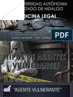 Tipos de Agentes Vulnerantes