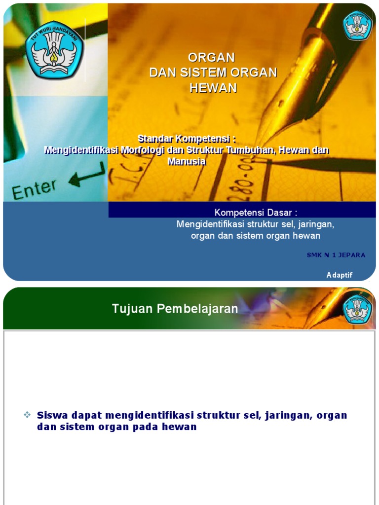  Organ  Dan  Sistem Organ  Hewan 