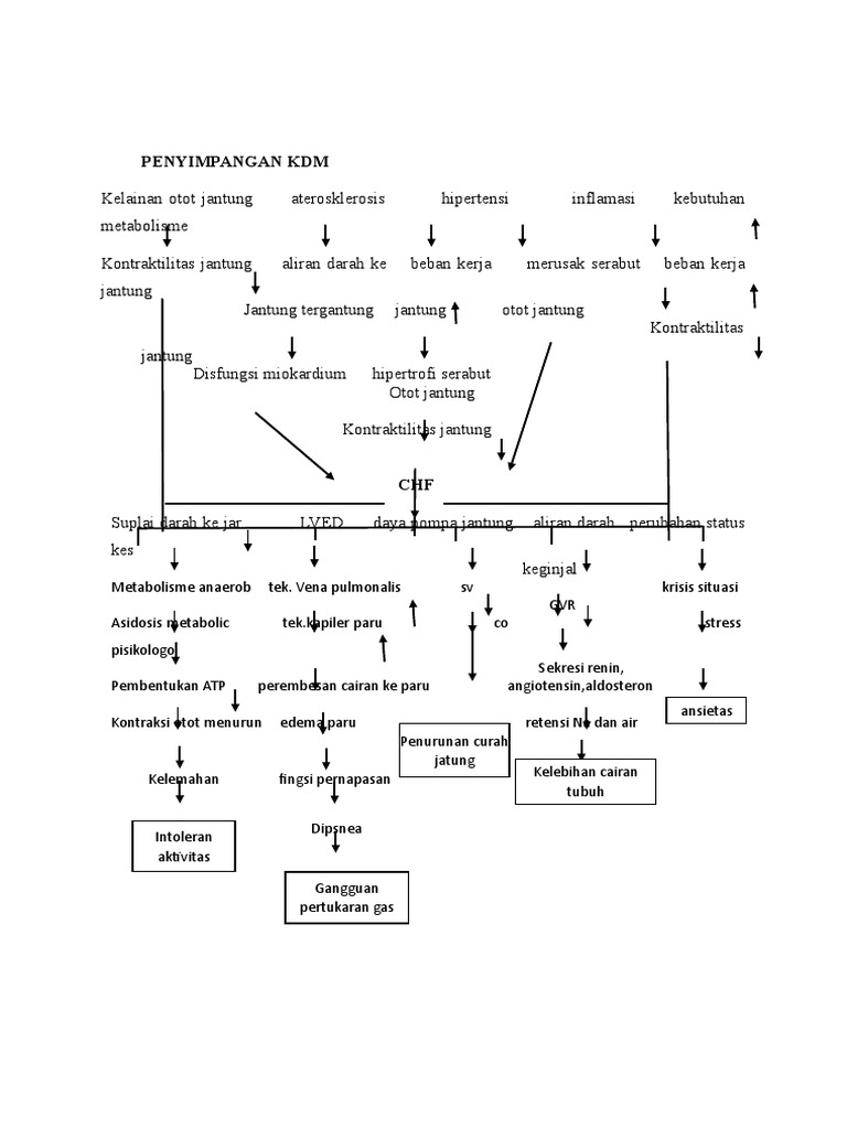 Penyimpangan KDM dan Hipertensi | PDF