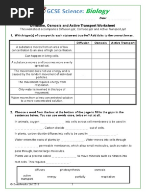 Diffusion Osmosis And Active Transport Worksheet Osmosis Diffusion