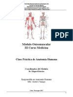 Anatomia Sistema Nervioso