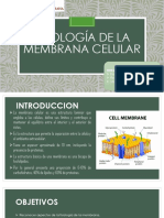 Fisiología de La Membrana Celular (2)