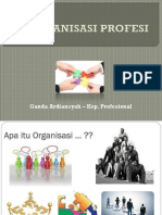 organisasi-profesi