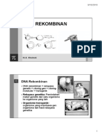 2. DNA Rekombinan