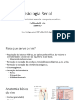 Fisiologia Renal: Filtração, Transporte e Equilíbrio Hídrico-Eletrolítico