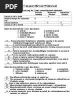 Cell Summative Review