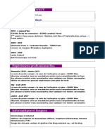 exemple-de-cv-cadre.rtf