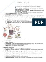 Flatworms, Roundworms, Annelids and Mollusks: Key Characteristics