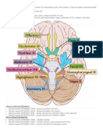 Cranial Nerves Summary-1