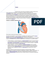 Corazón Humano