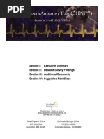 Download Church Survey - CHAT Report Sample by Rick Anderson SN3907557 doc pdf