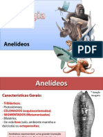 Anelideos