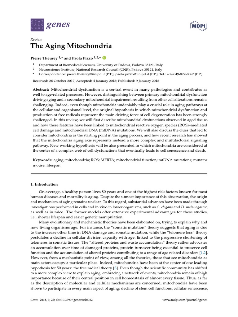 The Aging Mitochondria | PDF | Mitochondrion | Senescence
