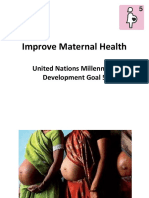 Improve Maternal Health: United Nations Millennium Development Goal 5