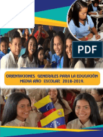 Orientaciones Generales Educacion Media