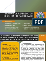 Terminos de Referencion de Un Eia Desarrollado