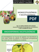 Monocotiledóneas y Dicotiledóneas