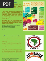 Cartilha Movimento Social Indígena