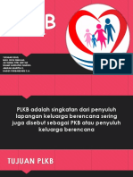 PLKB