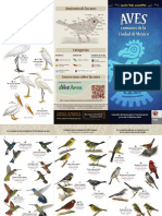 guia_aves_comunes.pdf