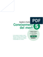 Nt5nasol PDF