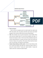 Sistem Saraf Pusat dan Tepi