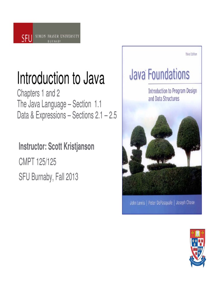 Introduction to Java Programming Basics | PDF | Division (Mathematics ...