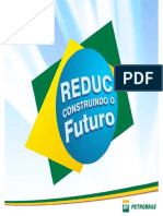 Palestra-Petrobras.pdf