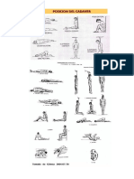 Posiciones de Cadaver IC