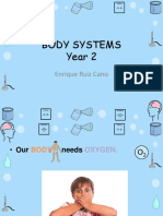 Body System 2º Enrique