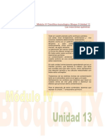 Ud13 M4 Cite PDF